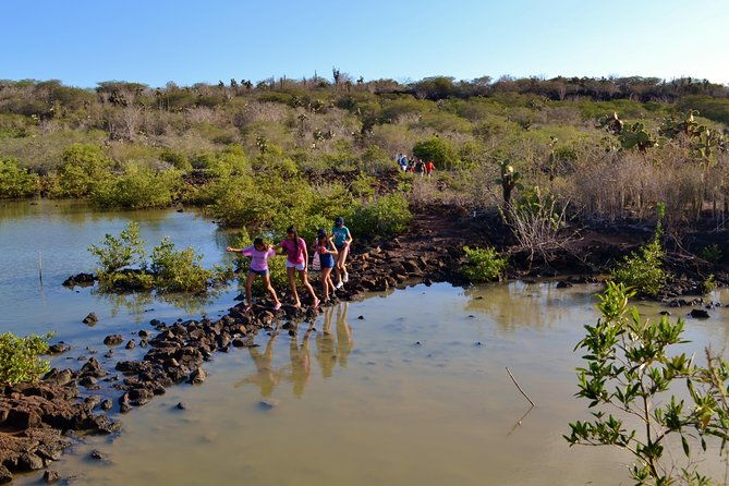 bay-tour-in-santa-cruz-galapagos-islands