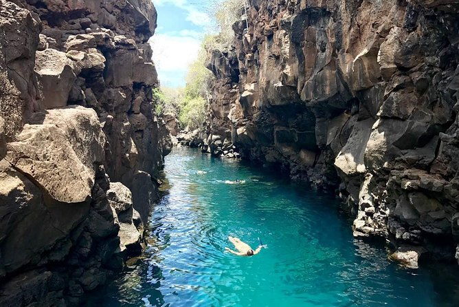 bay-tour-in-santa-cruz-galapagos-islands