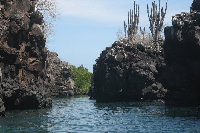 bay-tour-in-santa-cruz-galapagos-islands