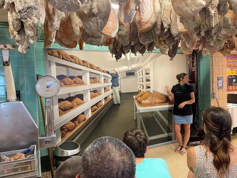 Bayonne: Guided Tour of the Ham Workshop, Tasting - Logistics and Practical Details