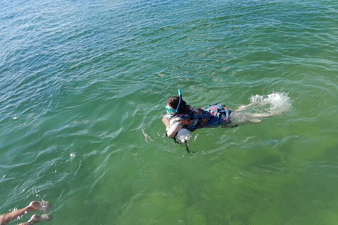 bayside-market-place-snorkeling-for-beginners