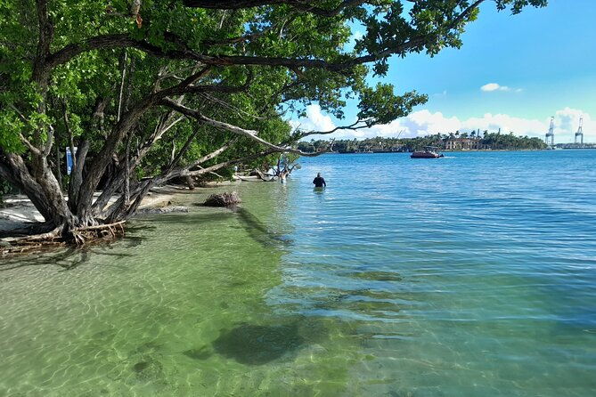 bayside-market-place-snorkeling-for-beginners
