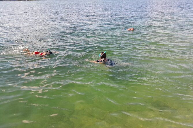 bayside-market-place-snorkeling-for-beginners