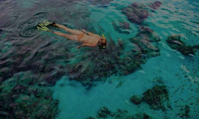 BBQ and sunset party on the island in Phu Quoc - Authentic Travel Experience and Unique Insights