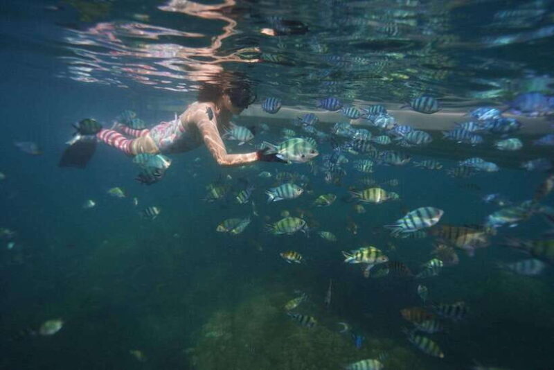 BBQ and sunset party on the island in Phu Quoc - FAQ: Practical Questions Answered