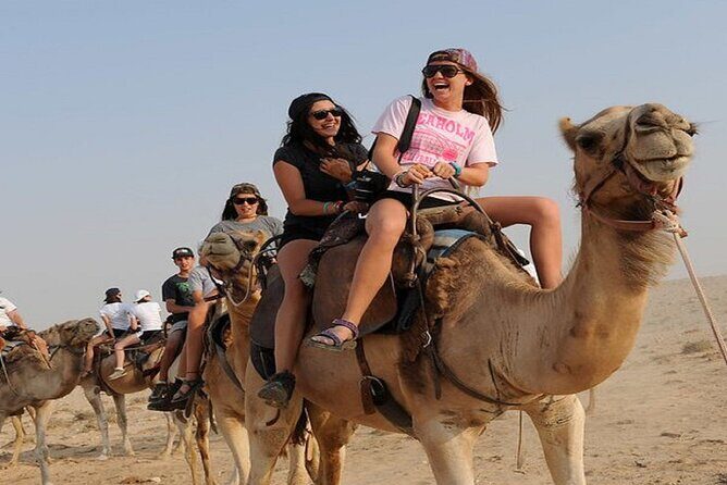 BBQ Sunset Camel Riding By the Flamingo River - What Makes This Tour Stand Out?