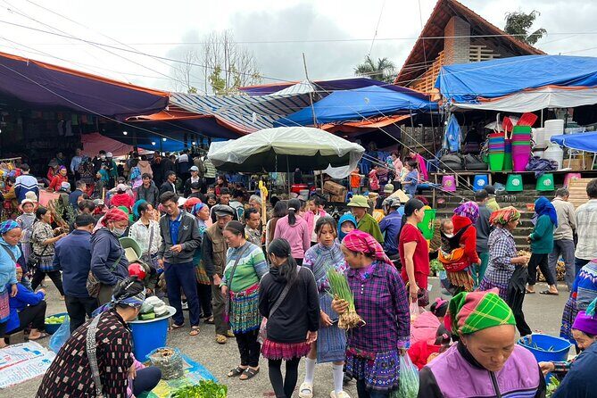 Bc Hà Sunday Market Tour 2 days and 1 night - Final Thoughts: Who Is This Tour Best For?