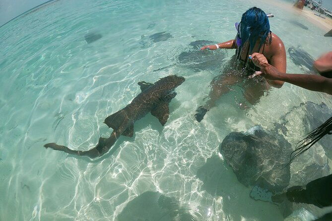 be-your-own-captain-adventure-bimini-nassau-exuma-or-eleuthera