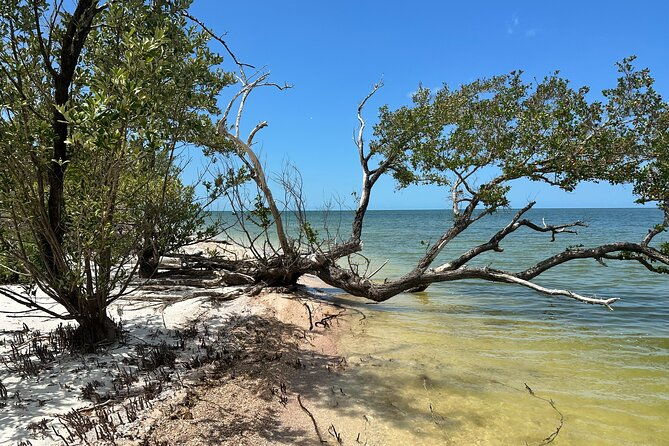 beach-and-shelling-excursion-public