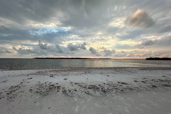 beach-and-shelling-excursion-public