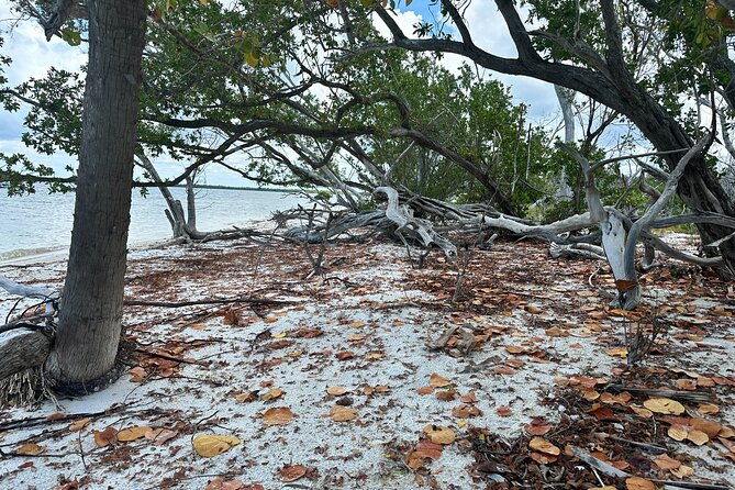 beach-and-shelling-excursion-public