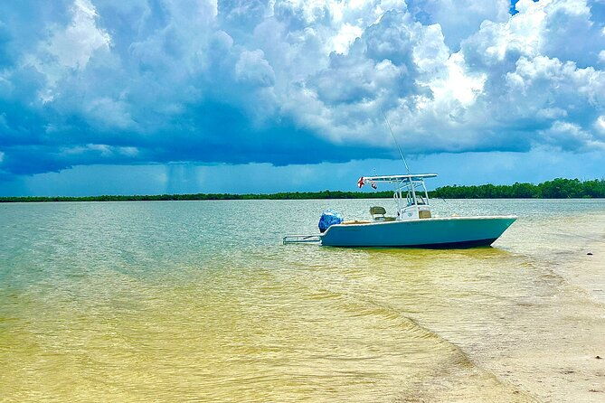 beach-and-shelling-excursion-public