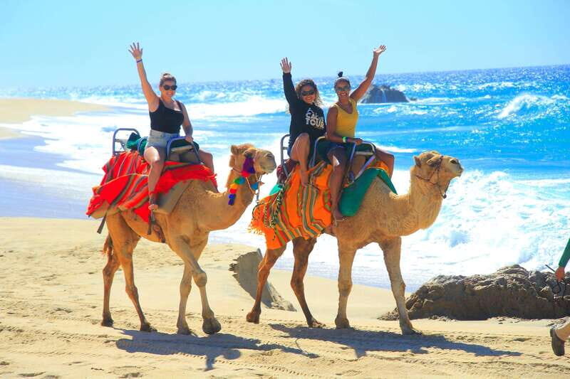 Beach ATV & Camel Ride COMBO in Cabo by Cactus Tours Park - Practicalities and Logistics
