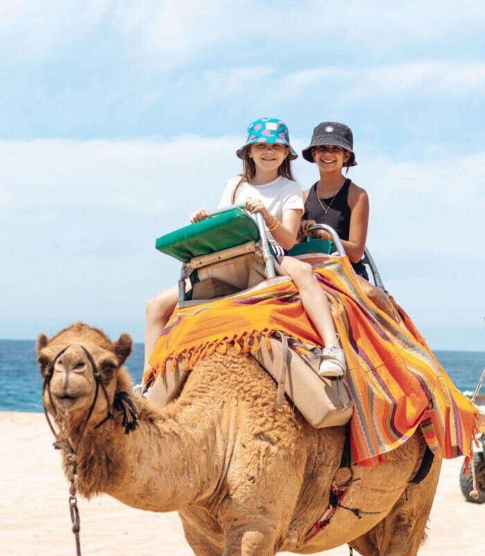 Beach Camel Ride & Encounter in Cabo by Cactus tours park - An In-Depth Look at the Cabo Camel Encounter