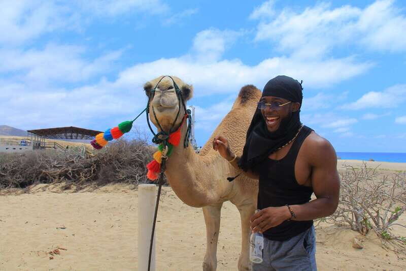 Beach Camel Ride & Encounter in Cabo by Cactus tours park - The Experience from Guest Perspectives