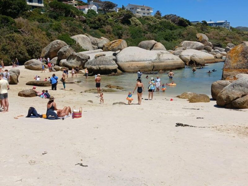 beach-day-at-boulders-beach-penguin-watching-half-day
