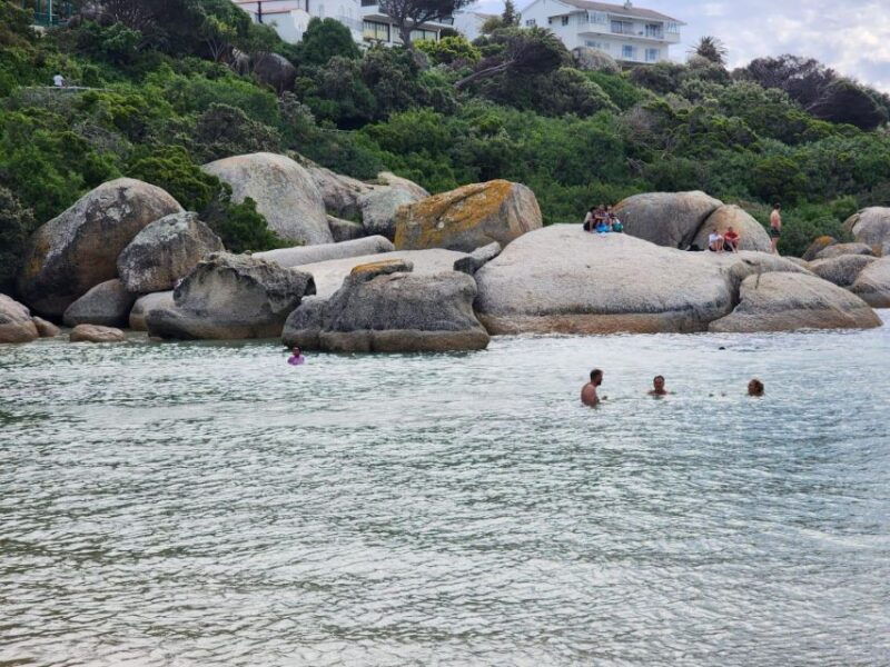beach-day-at-boulders-beach-penguin-watching-half-day
