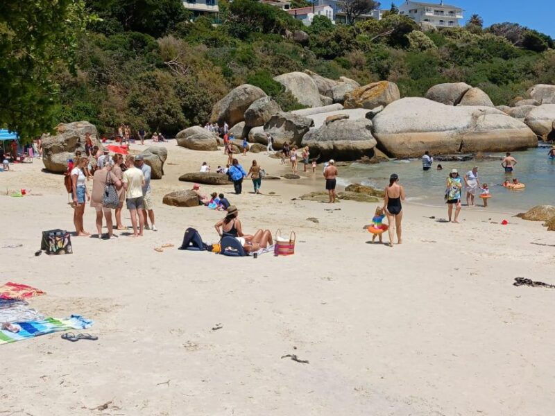 beach-day-at-boulders-beach-penguin-watching-half-day