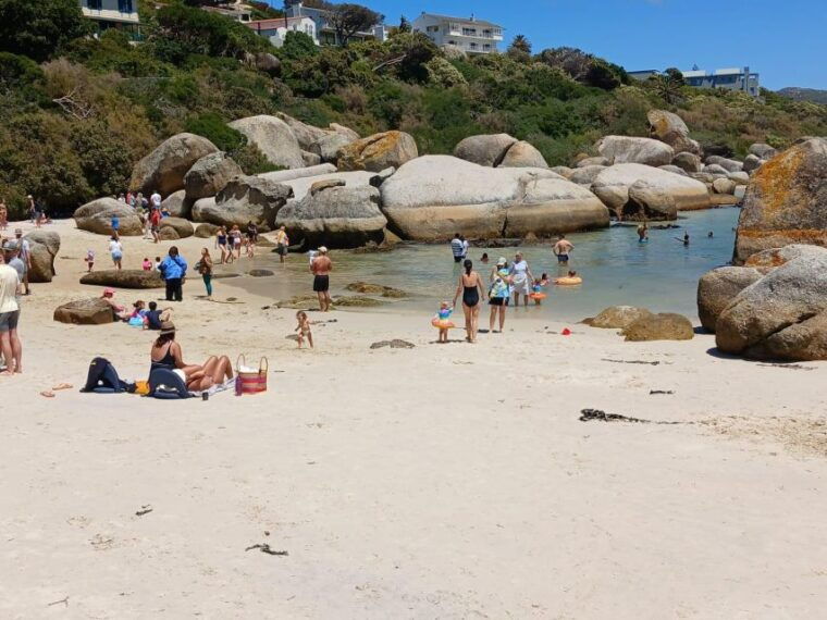 beach-day-at-boulders-beach-penguin-watching-half-day