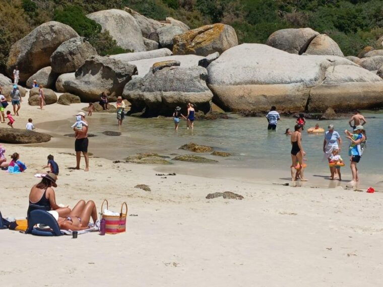 beach-day-at-boulders-beach-penguin-watching-half-day