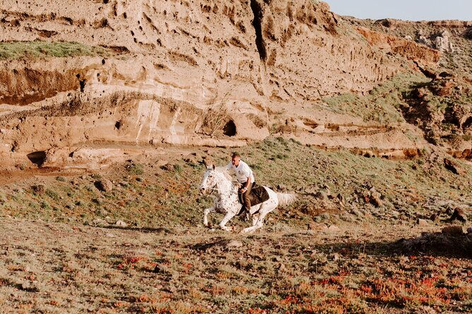 beach-gallop-horse-riding-safari-for-experienced-riders-2
