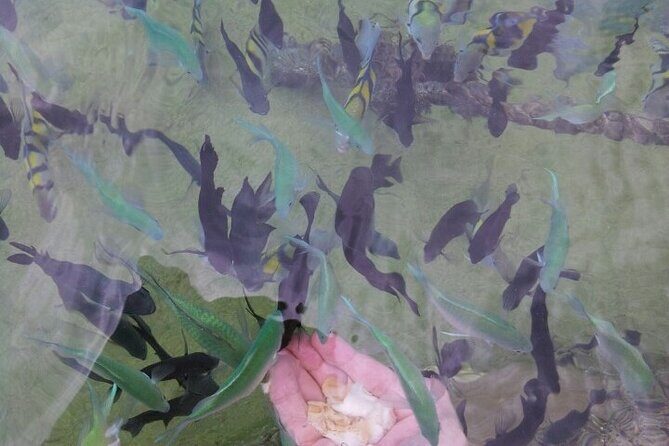 Beach Holiday in Samal Islands (8 Hours) - Final Thoughts