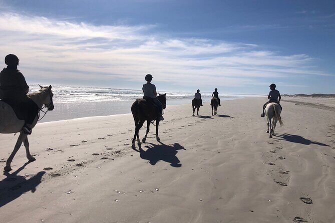 Beach Horse Ride in Yzerfontein, Western Cape - Key Points