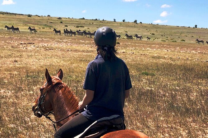 Beach Horse Ride in Yzerfontein, Western Cape - FAQ