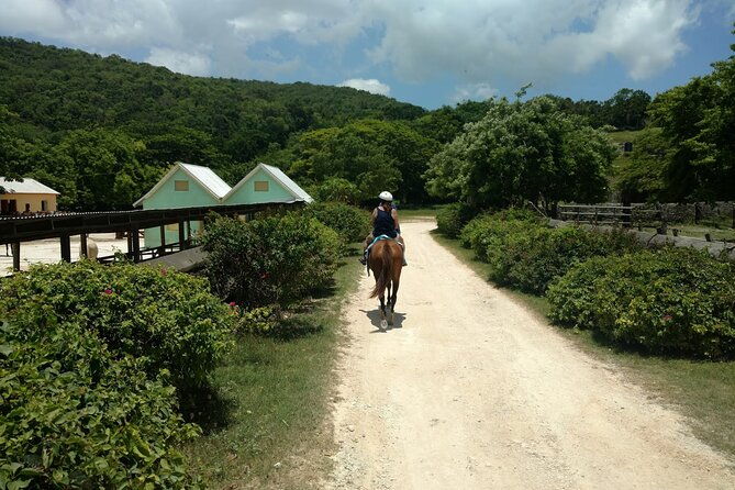 beach-horseback-riding-and-river-tubing-family-adventure-from-montego-bay