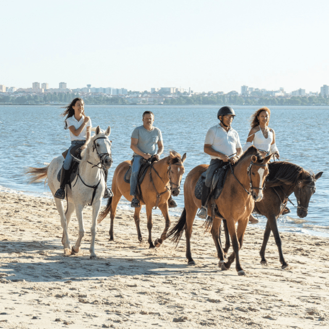 beach-horseback-riding-in-group-photo-report-pdt