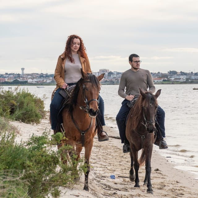 beach-horseback-riding-in-group-photo-report-pdt