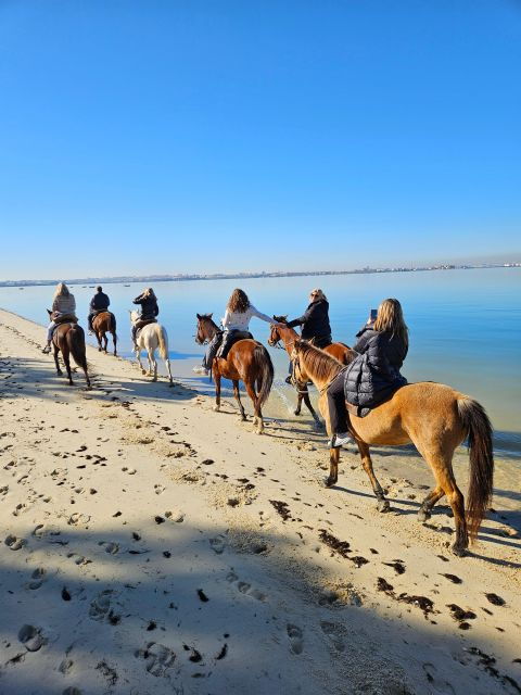 beach-horseback-riding-in-group-photo-report-pdt