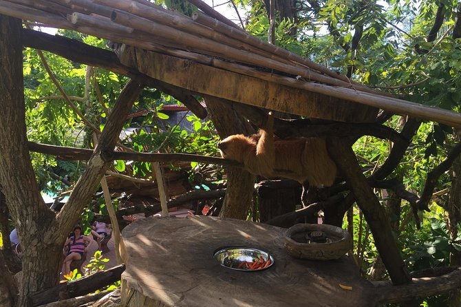 beach-mountain-sloth-refuge-atv-tour