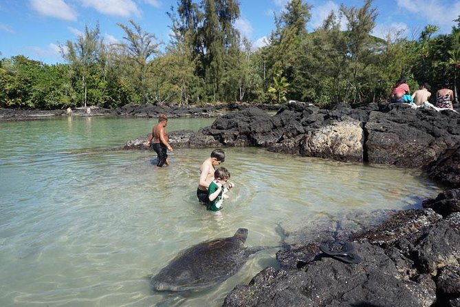 beach-snorkel-sea-turtle-and-black-sand-lagoon