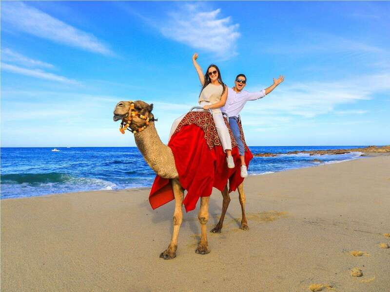 Beach UTV & Camel Ride COMBO in Cabo by Cactus Tours Park - Key Points