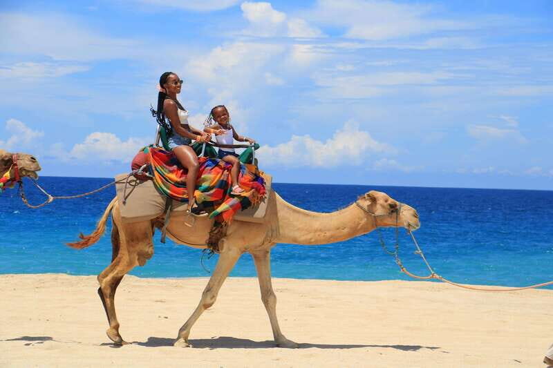 Beach UTV & Camel Ride COMBO in Cabo by Cactus Tours Park - Final Thoughts
