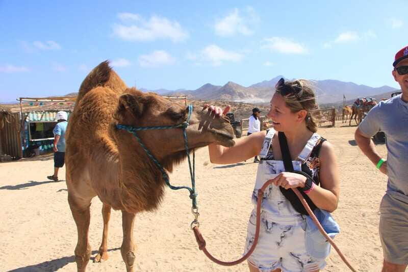 Beach UTV & Camel Ride COMBO in Cabo by Cactus Tours Park - Final Words