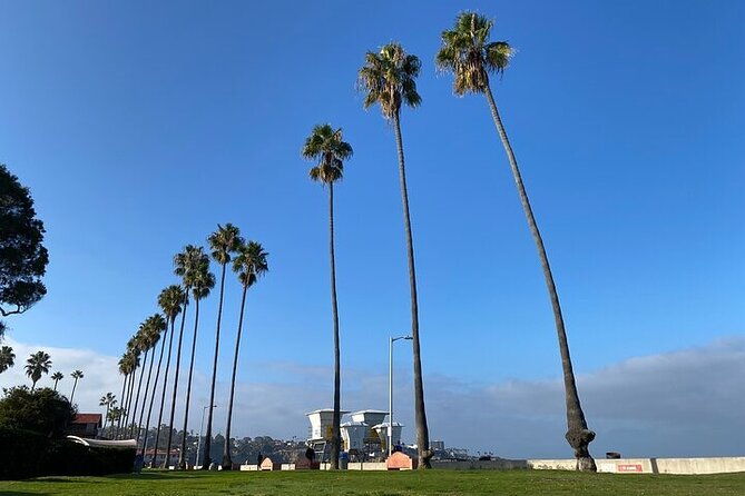 beach-yoga-in-san-diego