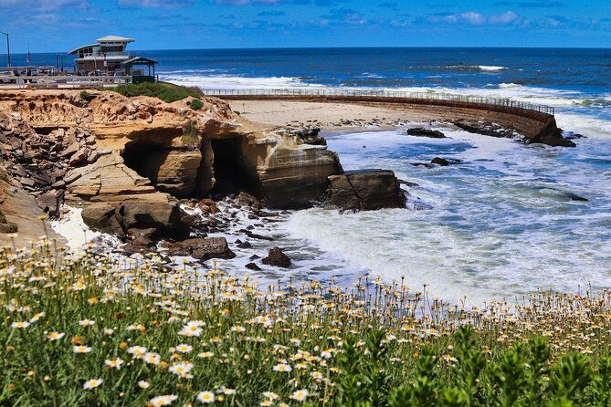 beaches-bluffs-san-diegos-ultimate-coastal-driving-tour