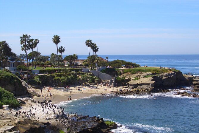beaches-bluffs-san-diegos-ultimate-coastal-driving-tour
