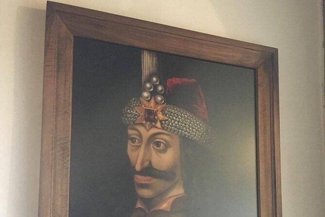 bear-sanctuary-and-bran-castle-from-brasov-2