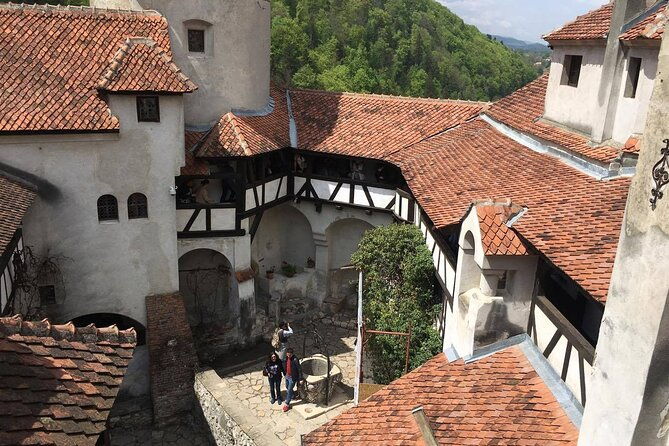 bear-sanctuary-and-bran-castle-from-brasov-2