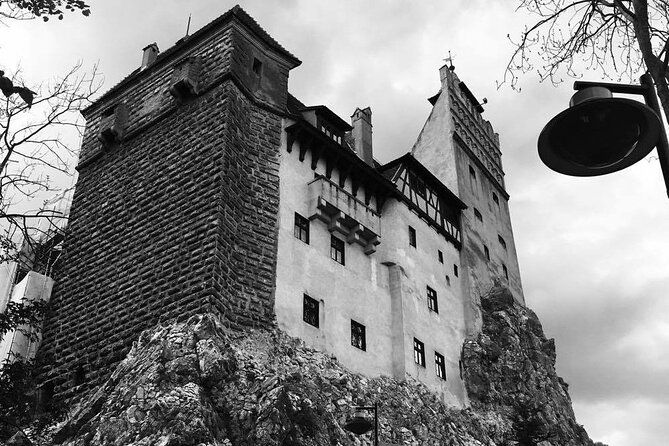 bear-sanctuary-and-bran-castle-from-brasov-2
