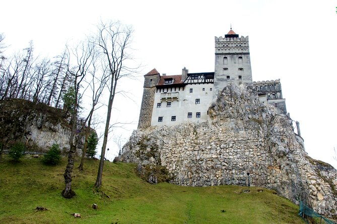 bear-sanctuary-and-bran-castle-from-brasov-3