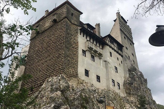 bear-sanctuary-and-bran-castle-from-brasov-4