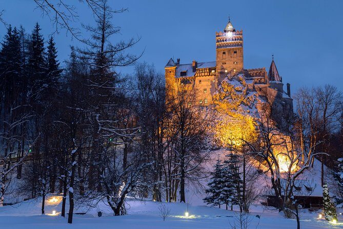 Bear Sanctuary and Bran Castle with a Professional Licensed GuideDay Trip - An In-Depth Look at the Tour Itinerary