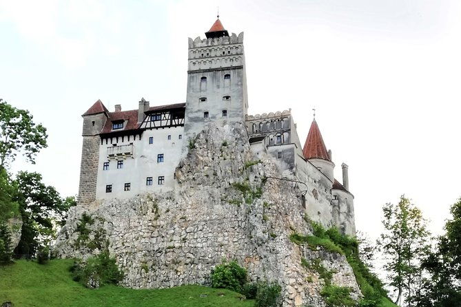 bear-sanctuary-and-draculas-castle-1-day-private-tour