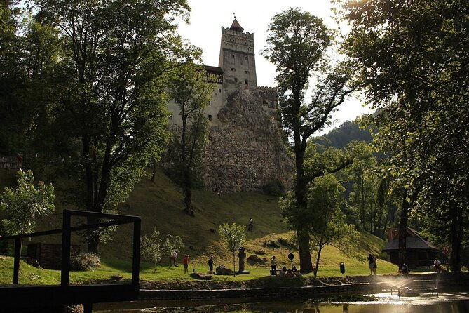 bear-sanctuary-bran-castle-rasnov-fortress-tour-from-brasov
