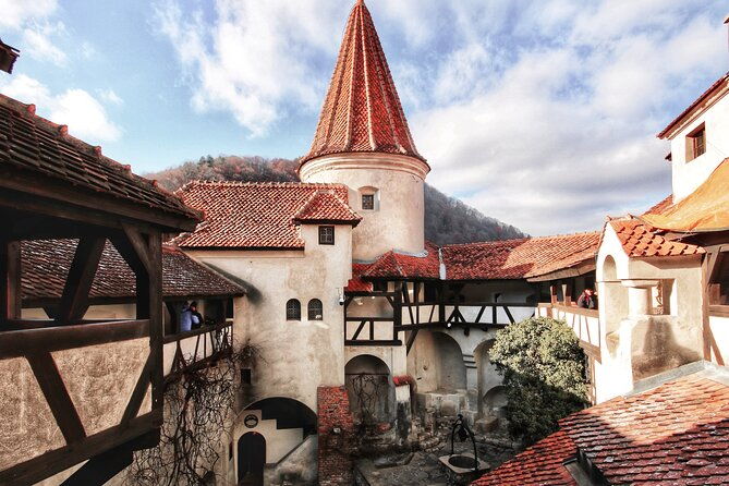 bear-sanctuary-bran-castle-rasnov-fortress-tour-from-brasov