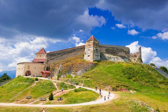 bear-sanctuary-rasnov-fortress-private-day-tour-from-bucharest